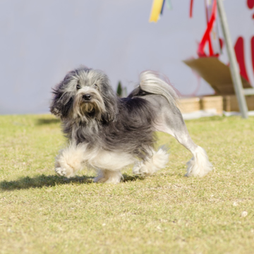 Depositphotos 54783299 S